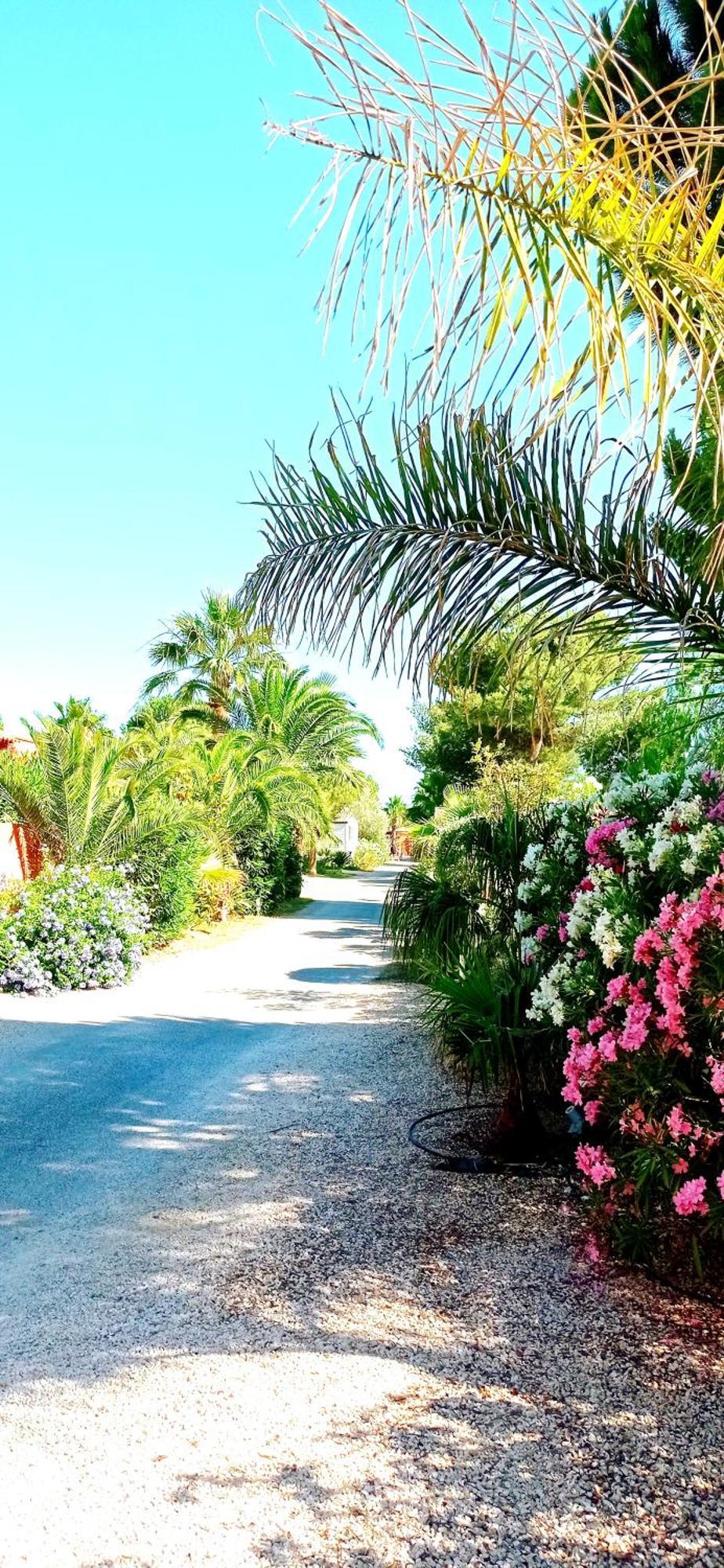 Happymobilhome Argeles-Sur-Mer -Plage A 500M- Camping 4 Etoiles Del Mar エクステリア 写真