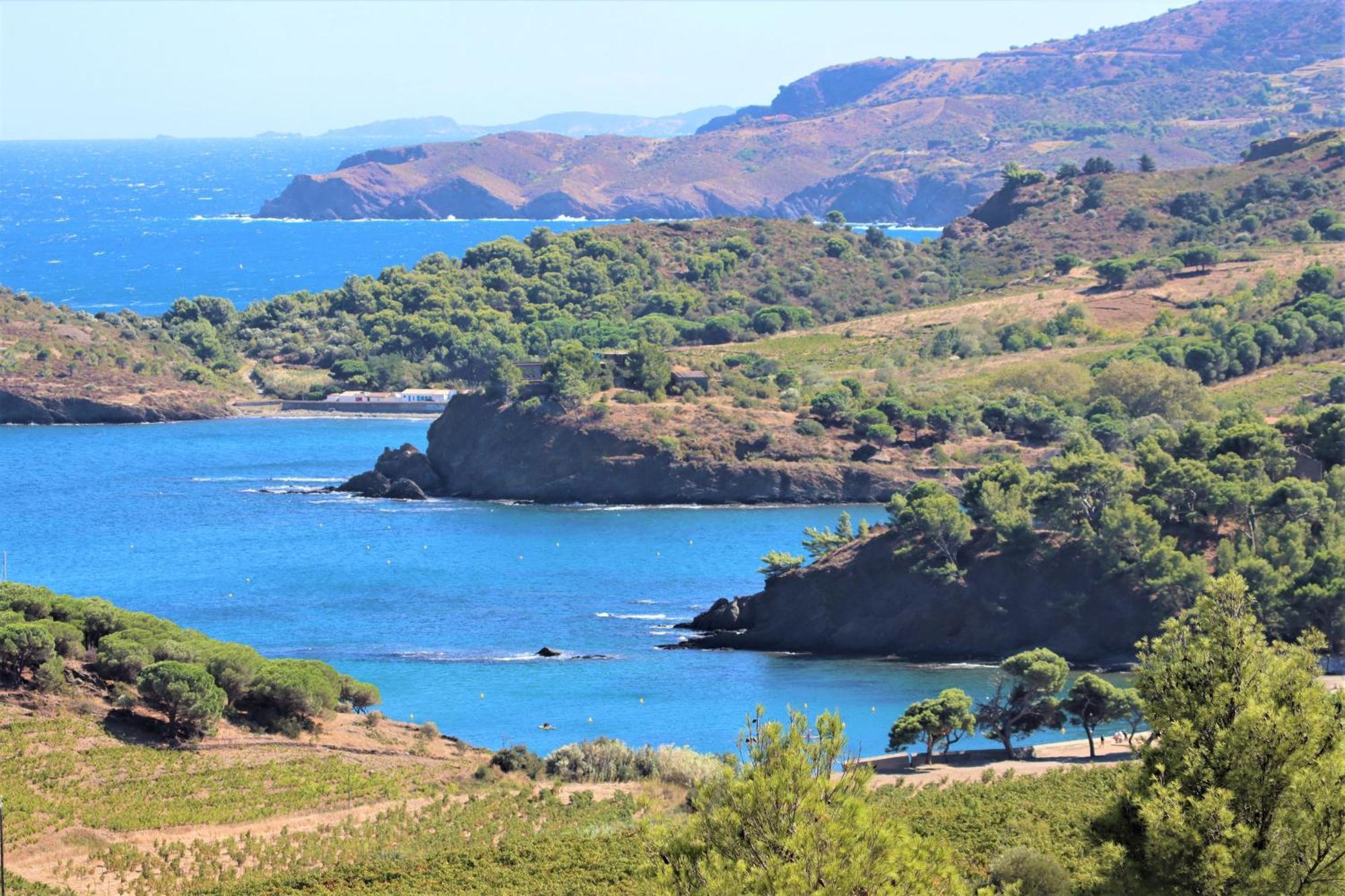 Happymobilhome Argeles-Sur-Mer -Plage A 500M- Camping 4 Etoiles Del Mar エクステリア 写真